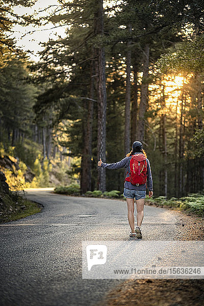 Female hitchhiker on a road  Col de Vergio  Corsica  France