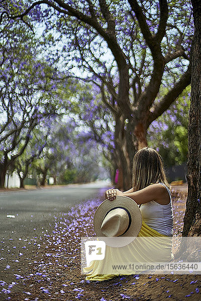 An einen Baum gelehnte Frau an einer Straße mit blühenden Jacarandabäumen  Pretoria  Südafrika