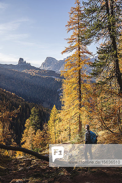 Wanderer geniessen die Dolomiten im Herbst Venetien Italien