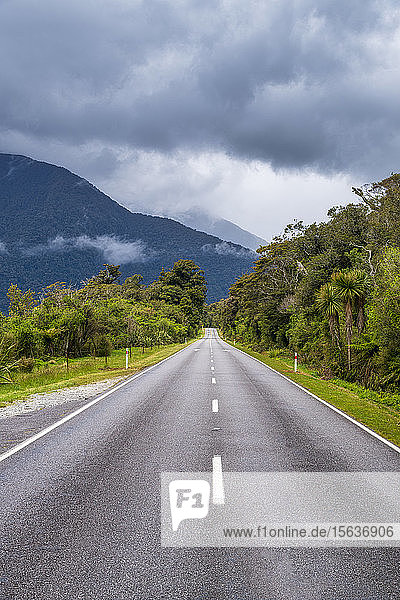 Haast Highway  South Island  New Zealand