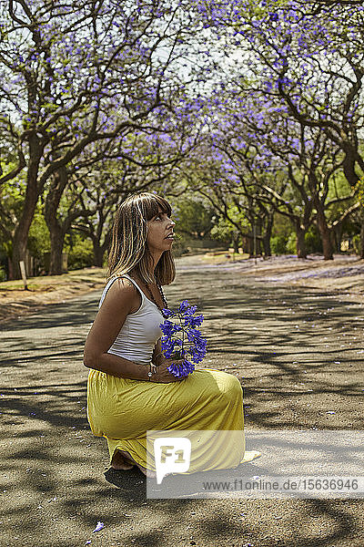 Frau hält Jacaranda-Blumen auf der Straße  Pretoria  Südafrika