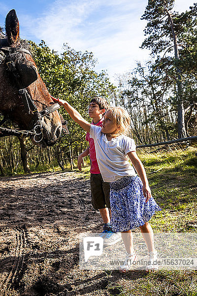 Boy and girl stroking a horse