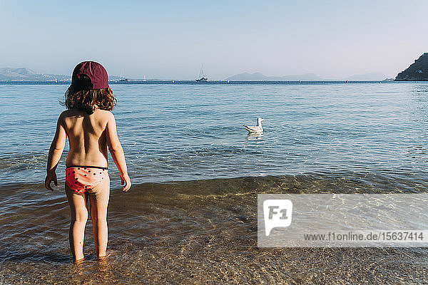 Rückenansicht eines kleinen Mädchens  das an der Strandpromenade steht und schwimmende Möwen beobachtet  Pollenca  Mallorca  Spanien