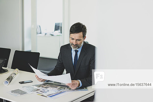 Mature businessman working on photographies at desk in office