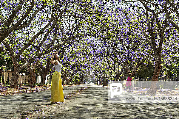 Frau mit Hut  steht in der Mitte einer Straße voller blühender Jacaranda-Bäume  Pretoria  Südafrika