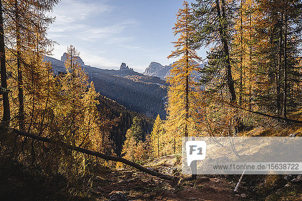 Wanderer geniessen die Dolomiten im Herbst Venetien Italien