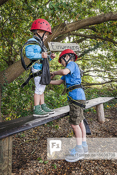 Brother helping sister preparing for a rope course in forest