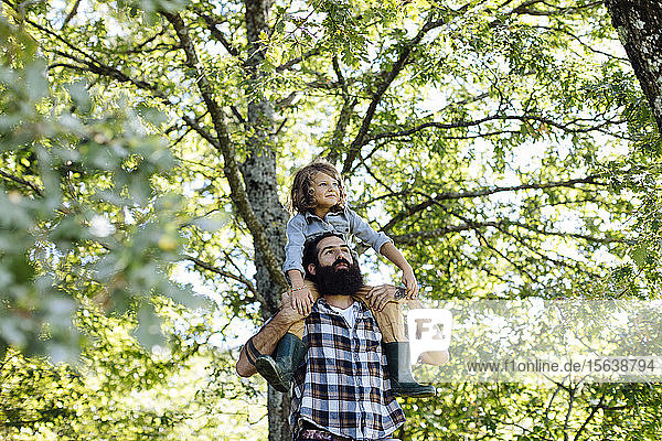 Father with kid on his shoulders in the forest