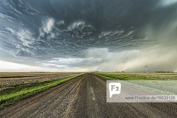 Schotterstraße  die in der Ferne zu dramatischen Gewitterwolken führt; Val Marie  Saskatchewan  Kanada