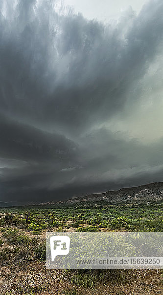 Dramatische dunkle Gewitterwolken über Buschland; Marathon  Texas  Vereinigte Staaten von Amerika