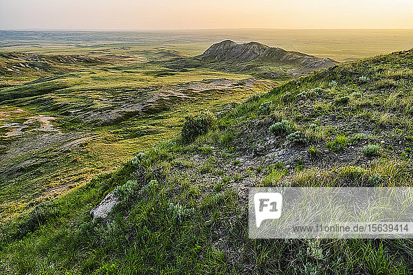 Weite Landschaft  die sich in der Abenddämmerung bis zum Horizont erstreckt  im Grassland National Park; Val Marie  Saskatchewan  Kanada