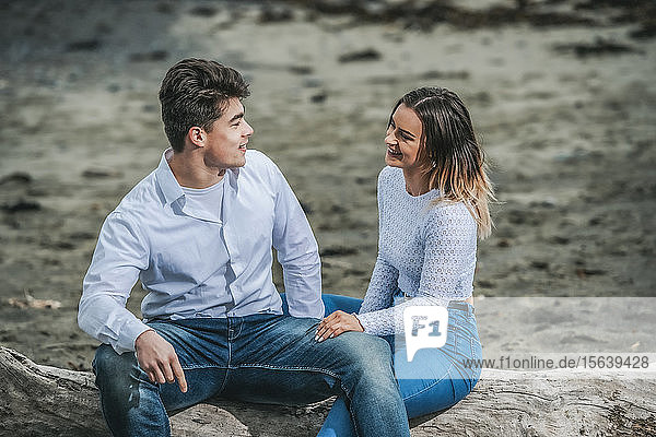 Porträt eines jungen Paares  das auf einem Baumstamm am Strand sitzt; Wellington  Nordinsel  Neuseeland