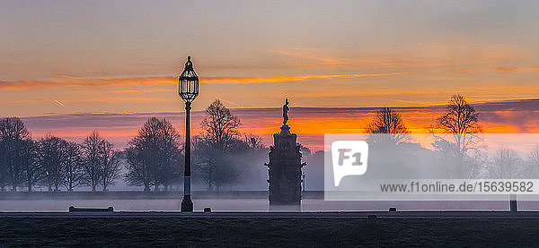 Bushey Park an einem nebligen Morgen während eines dramatischen Sonnenaufgangs; London  England