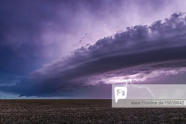Dramatische Gewitterwolken mit gespaltenen Blitzen über Ackerland; Guymon  Oklahoma  Vereinigte Staaten von Amerika