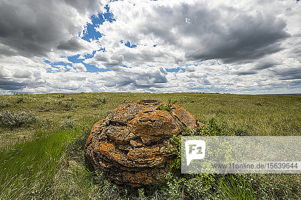 Weite Landschaft im Grasslands National Park; Val Marie  Saskatchewan  Kanada