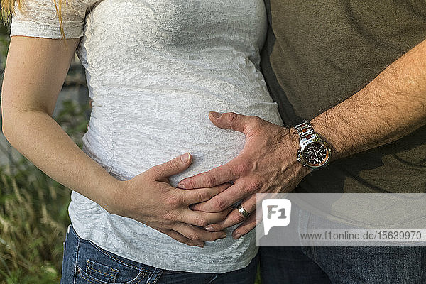 Man and woman's hand on full-term pregnant belly; Vancouver  British Columbia  Canada
