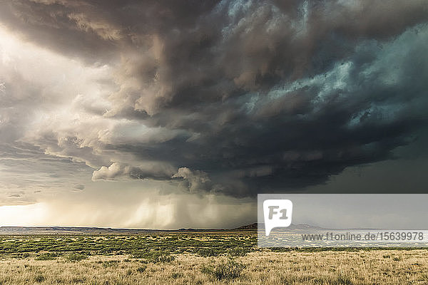Dramatische dunkle Gewitterwolken über Buschland; New Mexico  Vereinigte Staaten von Amerika