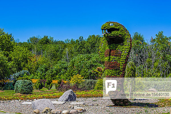 Plants with purple and green foliage created in the shape of a cobra; St Lazare Quebec Canada