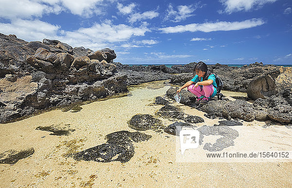 A young girl pulls a plastic bag out of a tide pool beside Kawakiu Nui Beach on Molokai's West End; Molokai  Hawaii  United States of America
