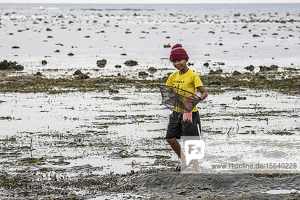 Junge sammelt Muscheln am Strand bei Sonnenuntergang; Lovina  Bali  Indonesien