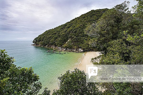 Small bay with beach  near Bark Bay  Abel Tasman National Park  Tasman  South Island  New Zealand  Oceania