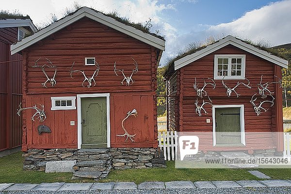 Hütten mit Rentiergeweihen  Kongsvoll  Provinz Oppdal  Norwegen  Europa