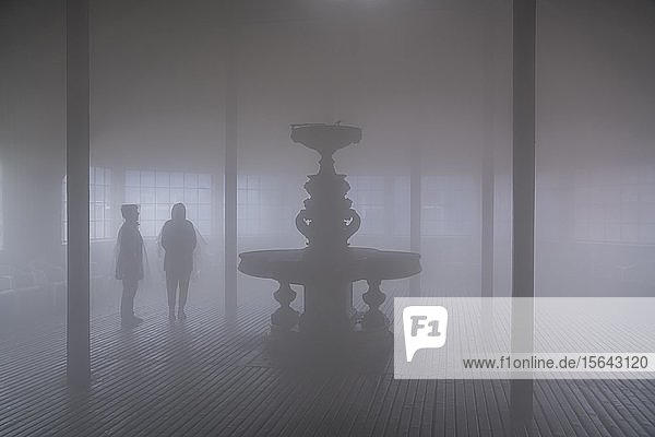 Sole-Nebel im Atemzentrum des Gradierwerks  Bad Salzungen  Thüringen  Deutschland  Europa