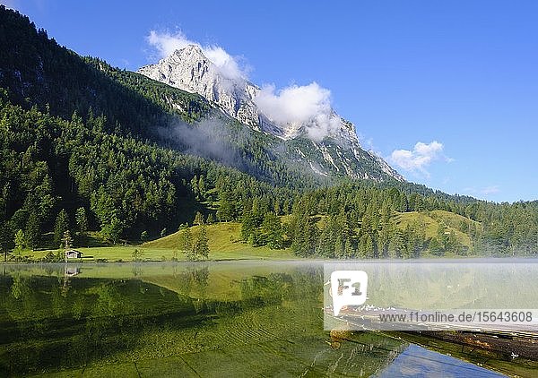 Ferchensee und Wettersteinspitze  Stockente auf Steg sitzend  bei Mittenwald  Werdenfelser Land  Wettersteingebirge  Oberbayern  Bayern  Deutschland  Europa