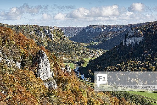Herbststimmung im Naturpark Obere Donau mit Schloss Werenwag  Baden-Württemberg  Deutschland  Europa