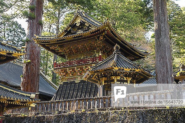Prächtiger T?sh?-g? Schrein aus dem 17. Jahrhundert  Shint? Schrein  Heiligtümer und Tempel von Nikko  UNESCO-Weltkulturerbe  Nikko  Japan  Asien