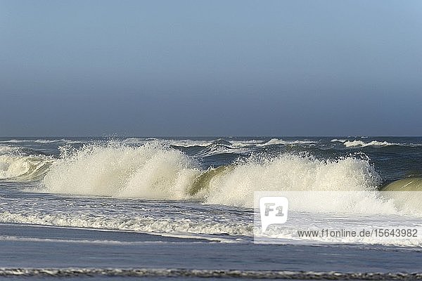 Wellen am Sandstrand von Wenningstedt  Sylt  Nordfriesische Insel  Nordsee  Nordfriesland  Schleswig-Holstein  Deutschland  Europa