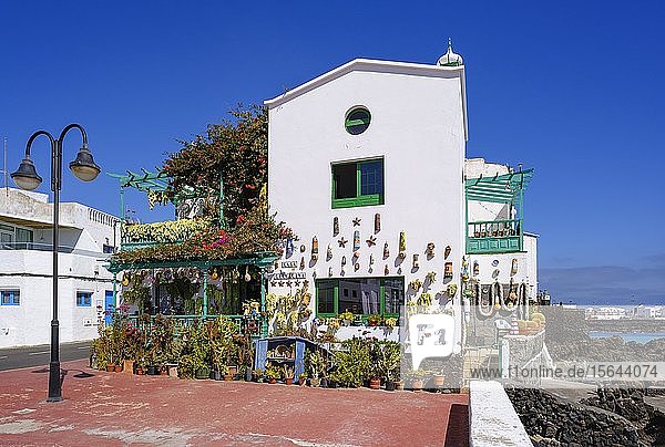 Geschmücktes Haus mit vielen Topfpflanzen und Keramiken  Dorf Punta Mujeres  Lanzarote  Kanarische Inseln  Spanien  Europa
