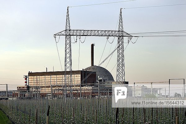Kernkraftwerk Stadersand seit 2003 im Rückbau Stade Niedersachsen Deutschland Europa
