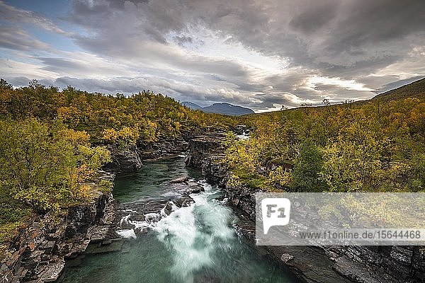 Herbstliche Abisko-Schlucht  Abiskojokk-Fluss  Abiskojokk  Abisko-Nationalpark  Norrbotten  Lappland  Schweden  Europa