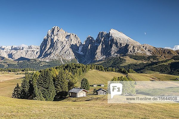 Almhütten auf der Seiser Alm  Blick auf Langkofel und Plattkofel  Dolomiten  Südtirol  Italien  Europa
