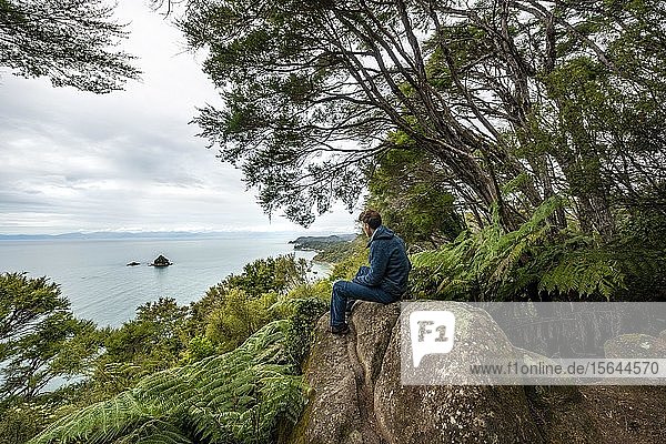 Young man sits on rock and looks out to sea  Abel Tasman National Park  South Island  New Zealand  Oceania