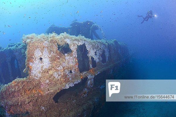 Petroleum freighter wreck Alcione C. sunk 1943 in 2nd World War with diver  Corsica  France  Europe