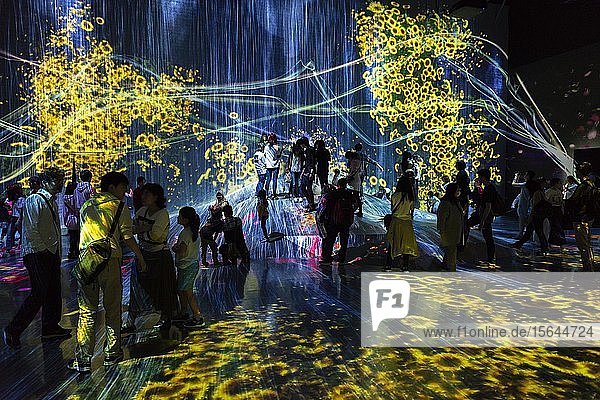 Visitor  light installation with flowers  exhibition at the Digital Art Museum  Epson TeamLab Borderless  Odaiba  Tokyo  Japan  Asia
