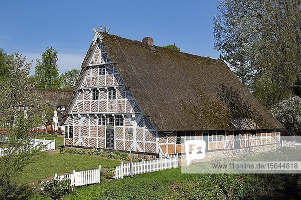 Altländer Bauernhaus  Fachwerkhaus mit Reetdach und niedersächsischem Giebel  Freilichtmuseum auf der Insel  Stade  Niedersachsen  Deutschland  Europa