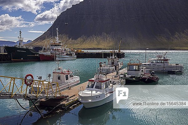 Schiffe  Fischerboote im Hafen von Bíldudalur  Westfjorde  Island  Europa