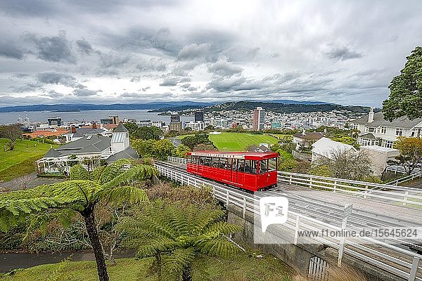 Historische Zahnradbahn  Wellington Cable Car  Region Wellington  Nordinsel  Neuseeland  Ozeanien