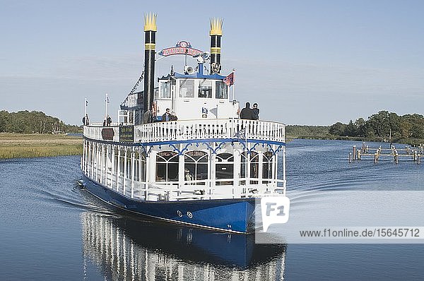 Paddle steamer on the Bodden  Prerow  Mecklenburg-Western Pomerania  Germany  Europe