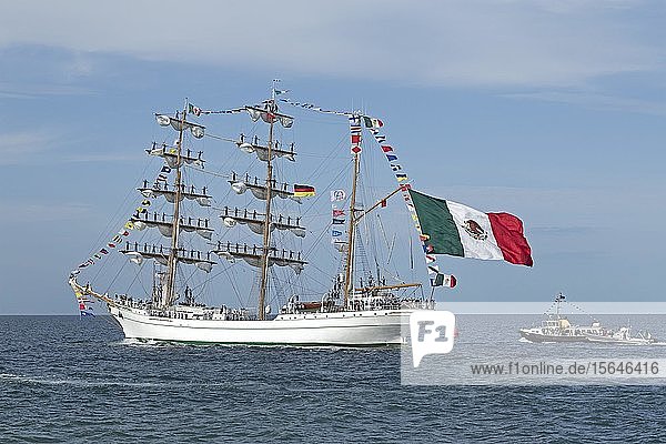 Mexikanische Bark Cuauhtemoc verlässt die Hanse Sail mit Matrosen an den Masten  Warnemünde  Rostock  Mecklenburg-Vorpommern  Deutschland  Europa