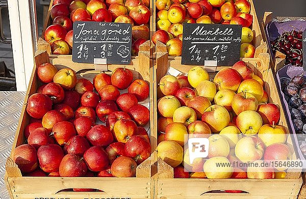 Frische Äpfel mit Preisschildern in Holzkisten an einem Marktstand  Deutschland  Europa