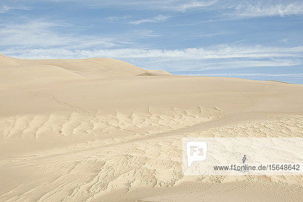 Wanderer erkundet Sanddünen  Great Sand Dunes National Park and Preserve  Colorado  USA