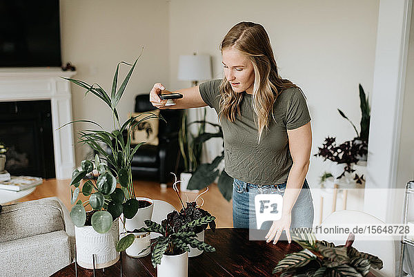 Frau fotografiert Zimmerpflanzen mit dem Handy