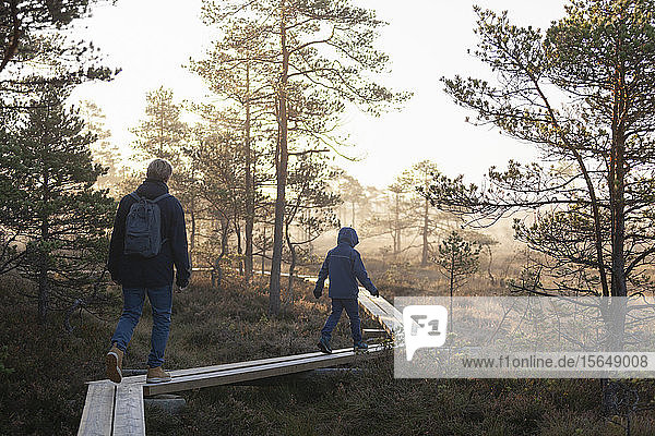 Father and son walking on planks in forest  Finland
