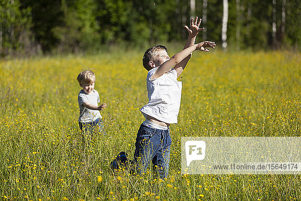 Brothers exploring and playing in meadows