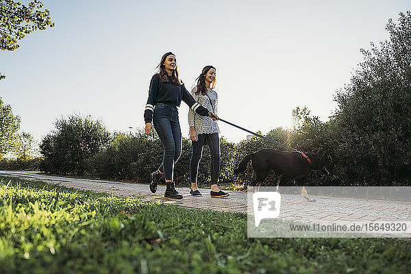 Schwestern gehen mit Hund im Park spazieren