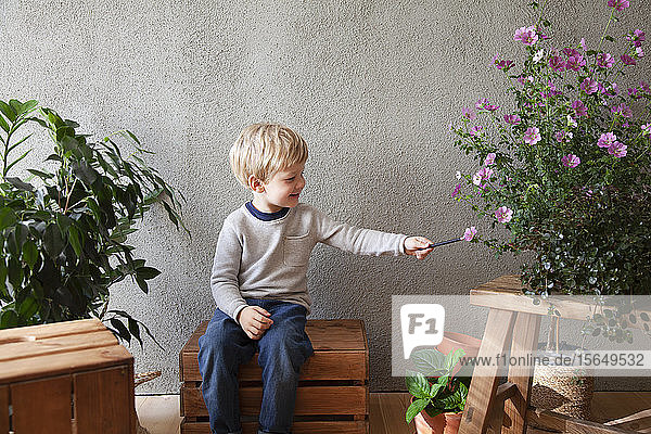 Kleinkind berührt Blume mit Stock im Innengarten